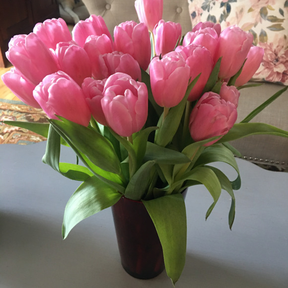 moranbunch